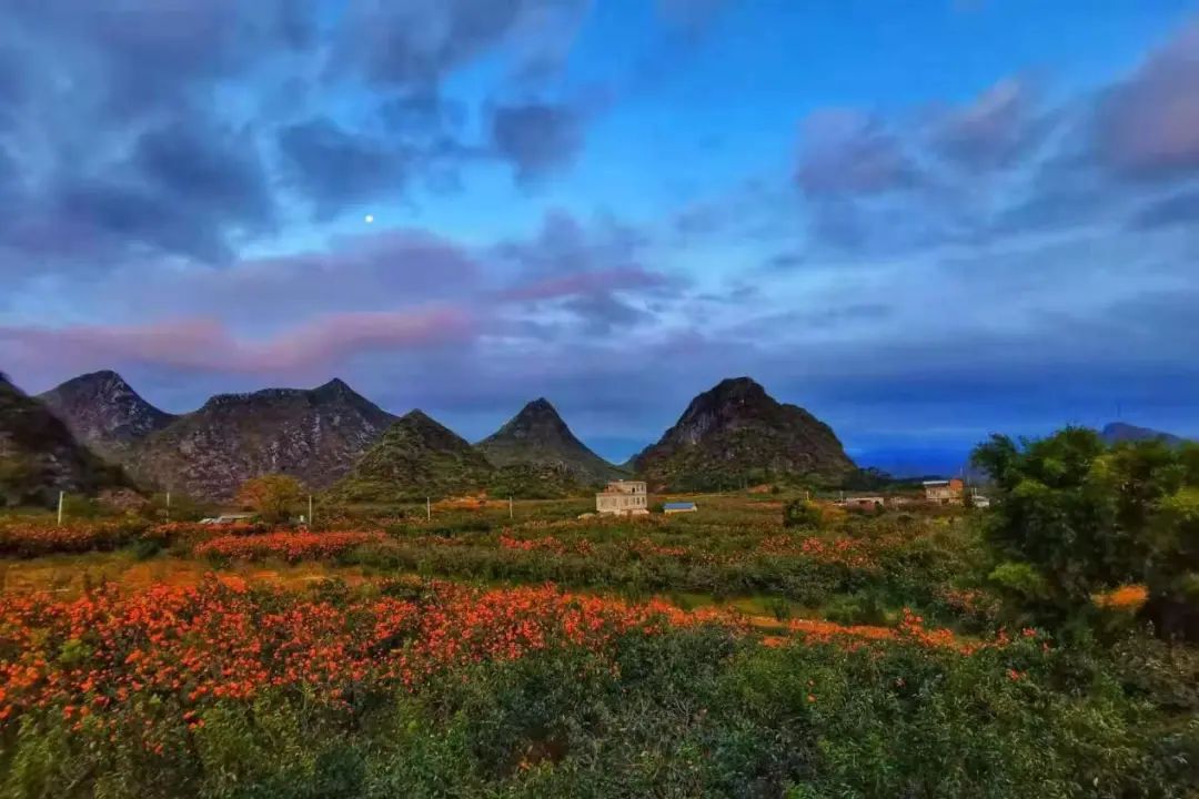 恭城：做大做强地理标志产品，“农旅融合”助推乡村振兴